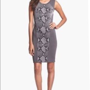 Diane Von Furstenberg Gray Snake Print Midi Dress